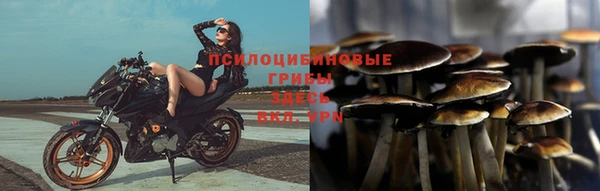 хмурый Алексин
