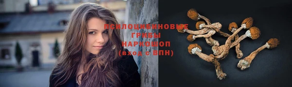 mix Алексеевка