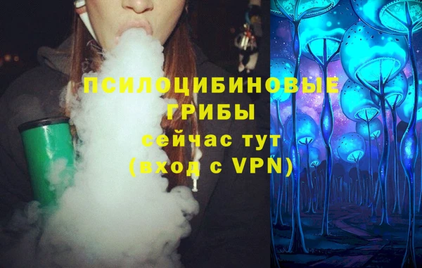 PSILOCYBIN Абинск