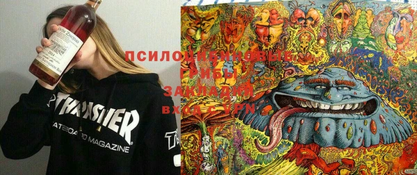 apvp Алзамай