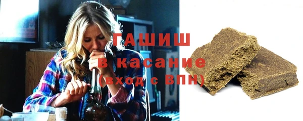 хмурый Алексин