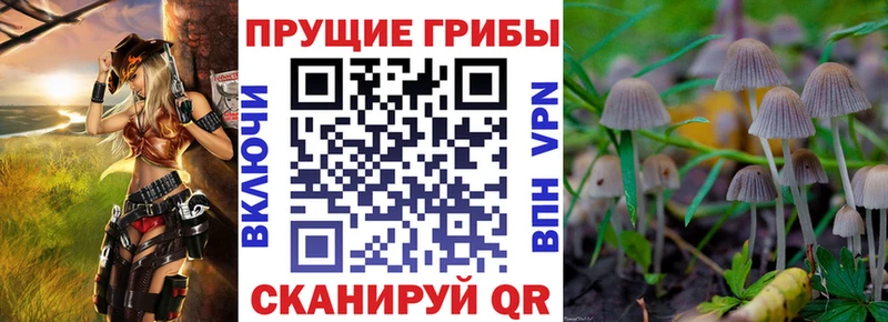 Псилоцибиновые грибы прущие грибы  Ипатово 