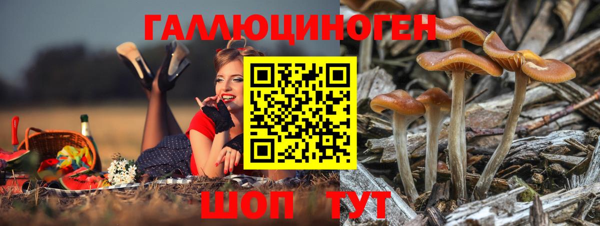 Ипатово  Псилоцибиновые грибы Psilocybine cubensis  Вход с VPN  Галлюциногенные грибы Psilocybe 